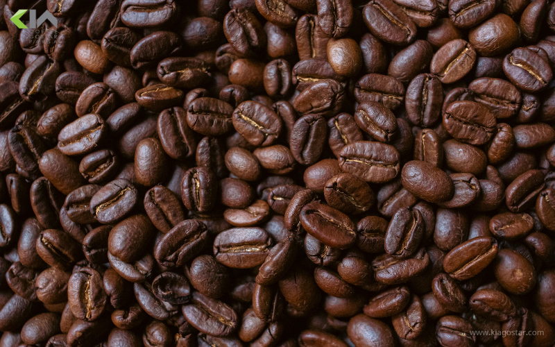 بهترین دان قهوه عربیکا