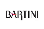 Bartini